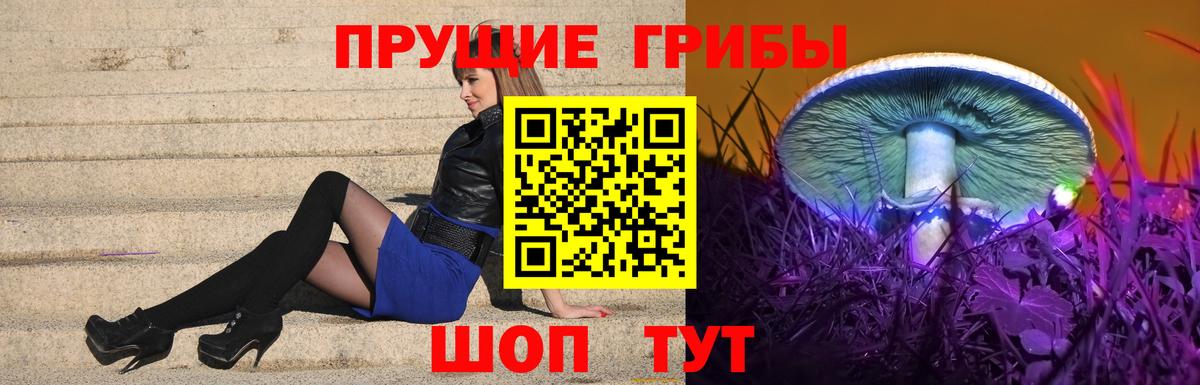 Псилоцибиновые грибы прущие грибы  Псилоцибиновые грибы MAGIC MUSHROOMS  Вход с VPN  Кропоткин 